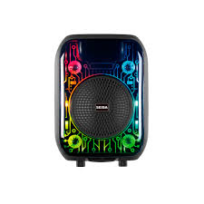 [YXH628] PARLANTE BLUETOOTH DE 6.5" CON MICROFONO
