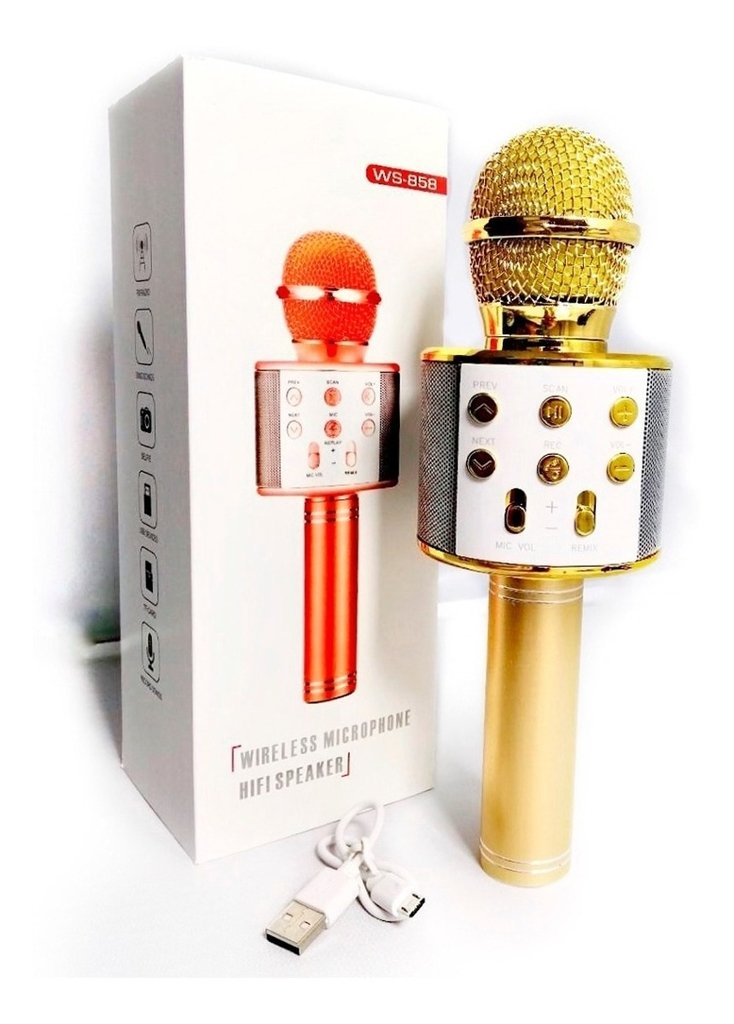 [WS858] MICROFONO KARAOKE CARGA USB Y LECTOR DE MEMORIA
